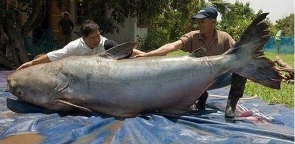 ����˹��ˮ�������׾�Ȼ���� 15�׾��ͺ���ʷǰ����������