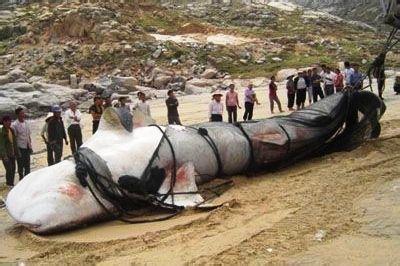 ����˹��ˮ�������׾�Ȼ���� 15�׾��ͺ���ʷǰ����������