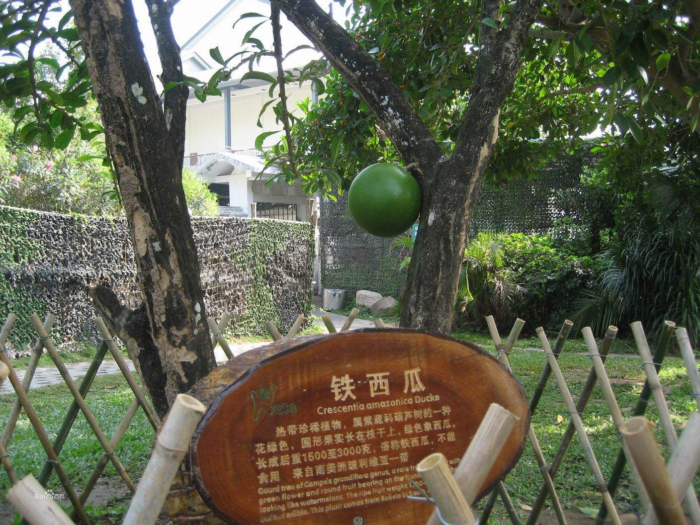 ը���������ϱ�ը˲�䶯ͼ̫������ �������п�ʲô���ӳ����ѳ�