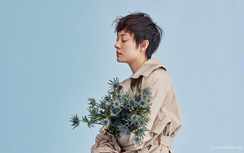 ��ٳ��������Ʒ�����Ľ�ʲô ��ٳ���������ֶ���ͼ