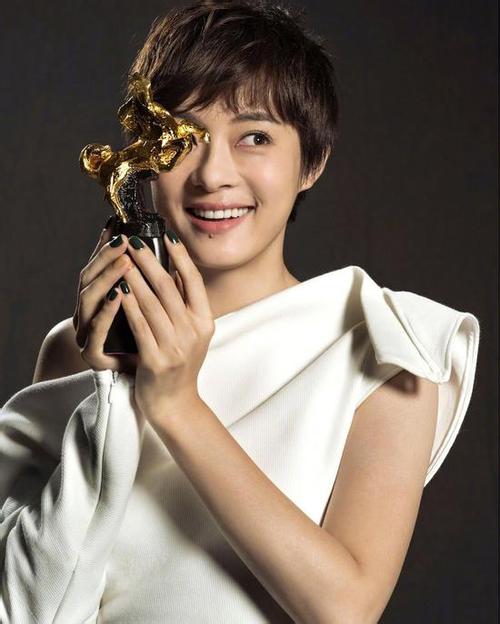 ��ٳ��������Ʒ�����Ľ�ʲô ��ٳ���������ֶ���ͼ