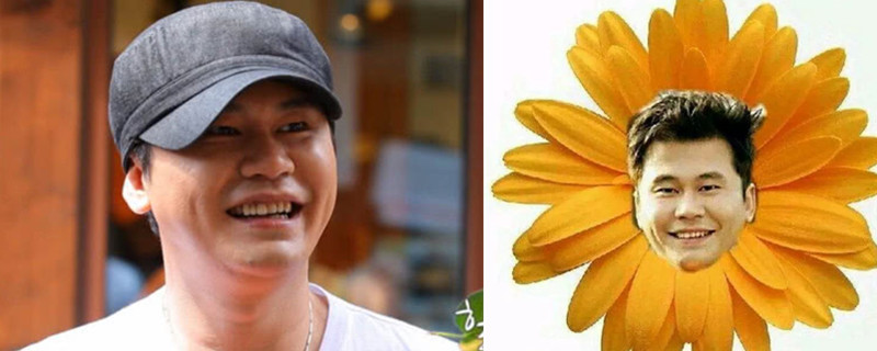 ����˶Ϊʲô�оջ�