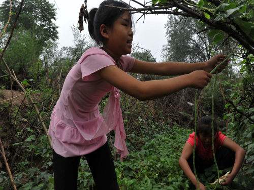 ����կŮ�˴����û��һ�������� ���Ǻܿ�������ô�����������