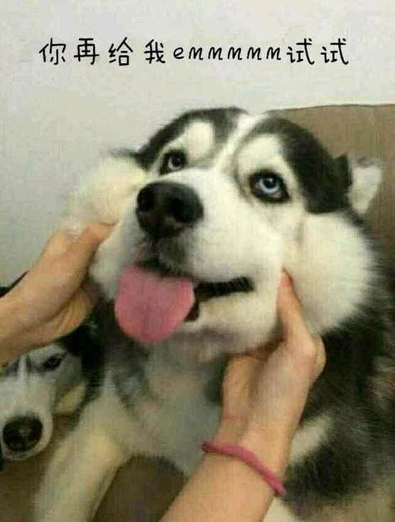 ������Ů��˵emmmm������ɶ��˼ �����Ĳ���ȥ��������һ��˵ɶ