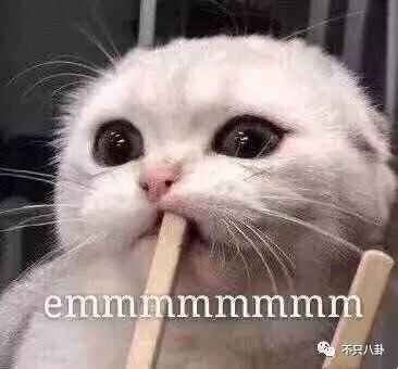 ������Ů��˵emmmm������ɶ��˼ �����Ĳ���ȥ��������һ��˵ɶ