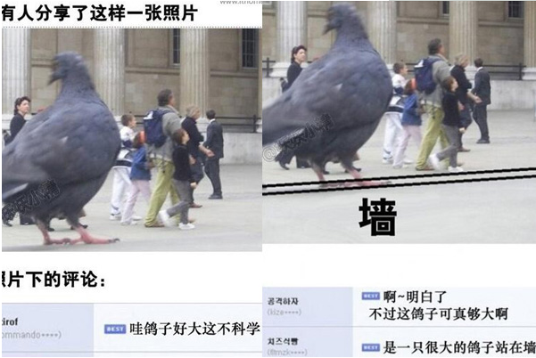 ���Ӿ�ʲô��