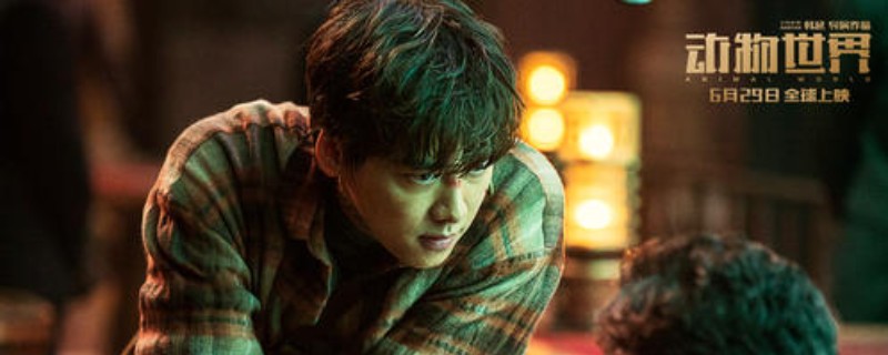 ֣��˾��ʲô��Ӱ