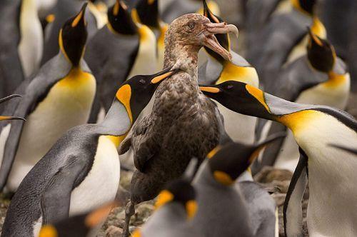 �ֲ��������������ɱ���⾪�Ķ��� ��Щ��ϸ˼���ֵı�̬��