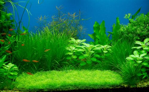 �ֲ��������������ɱ���⾪�Ķ��� ��Щ��ϸ˼���ֵı�̬��