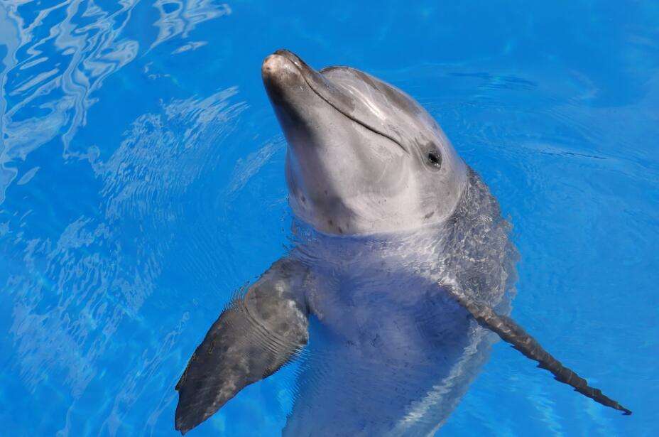 ��������ô˯���Ķ೤ʱ�����˯�� ����˯����һֻ�۱�һֻ����