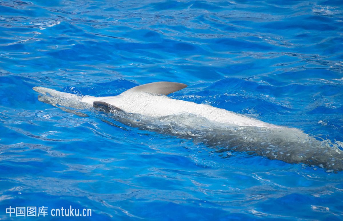 ��������ô˯���Ķ೤ʱ�����˯�� ����˯����һֻ�۱�һֻ����