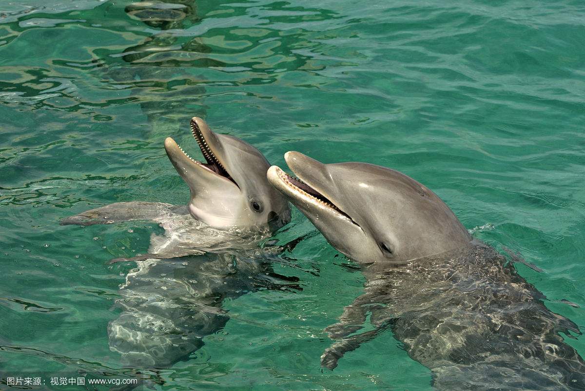 ��������ô˯���Ķ೤ʱ�����˯�� ����˯����һֻ�۱�һֻ����