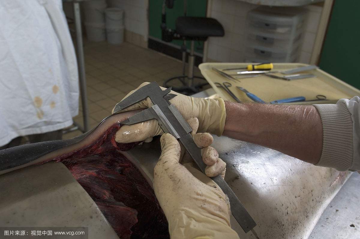 ��������ô˯���Ķ೤ʱ�����˯�� ����˯����һֻ�۱�һֻ����