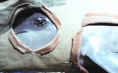 ��������ô˯���Ķ೤ʱ�����˯�� ����˯����һֻ�۱�һֻ����