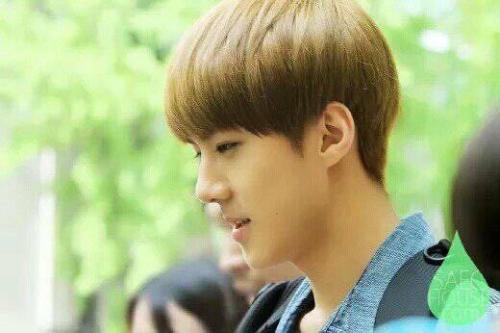 exoΪʲô˵����ѫ���� ����ѫ��Ӧ��irene���ʲô��ϵ�ڽ�����