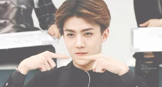 exoΪʲô˵����ѫ���� ����ѫ��Ӧ��irene���ʲô��ϵ�ڽ�����