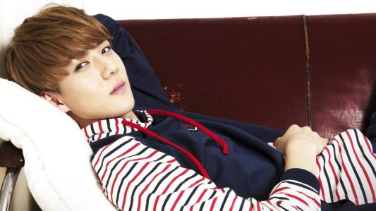 exoΪʲô˵����ѫ���� ����ѫ��Ӧ��irene���ʲô��ϵ�ڽ�����