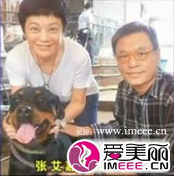 �Ű��θ��������Ϲ������۱�����Ƭ �Ű�������ʱ���Ư��