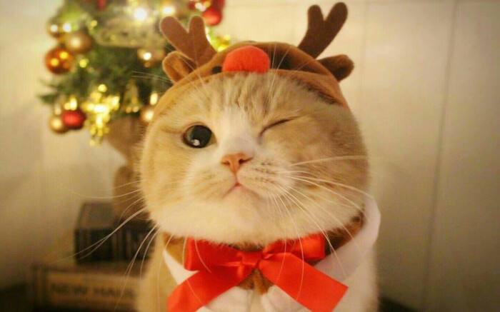 Ů���μ�èʲôԤ�� �ѻ鸾Ů�μ�è����ʲô �μ�è�ǲ���֮����