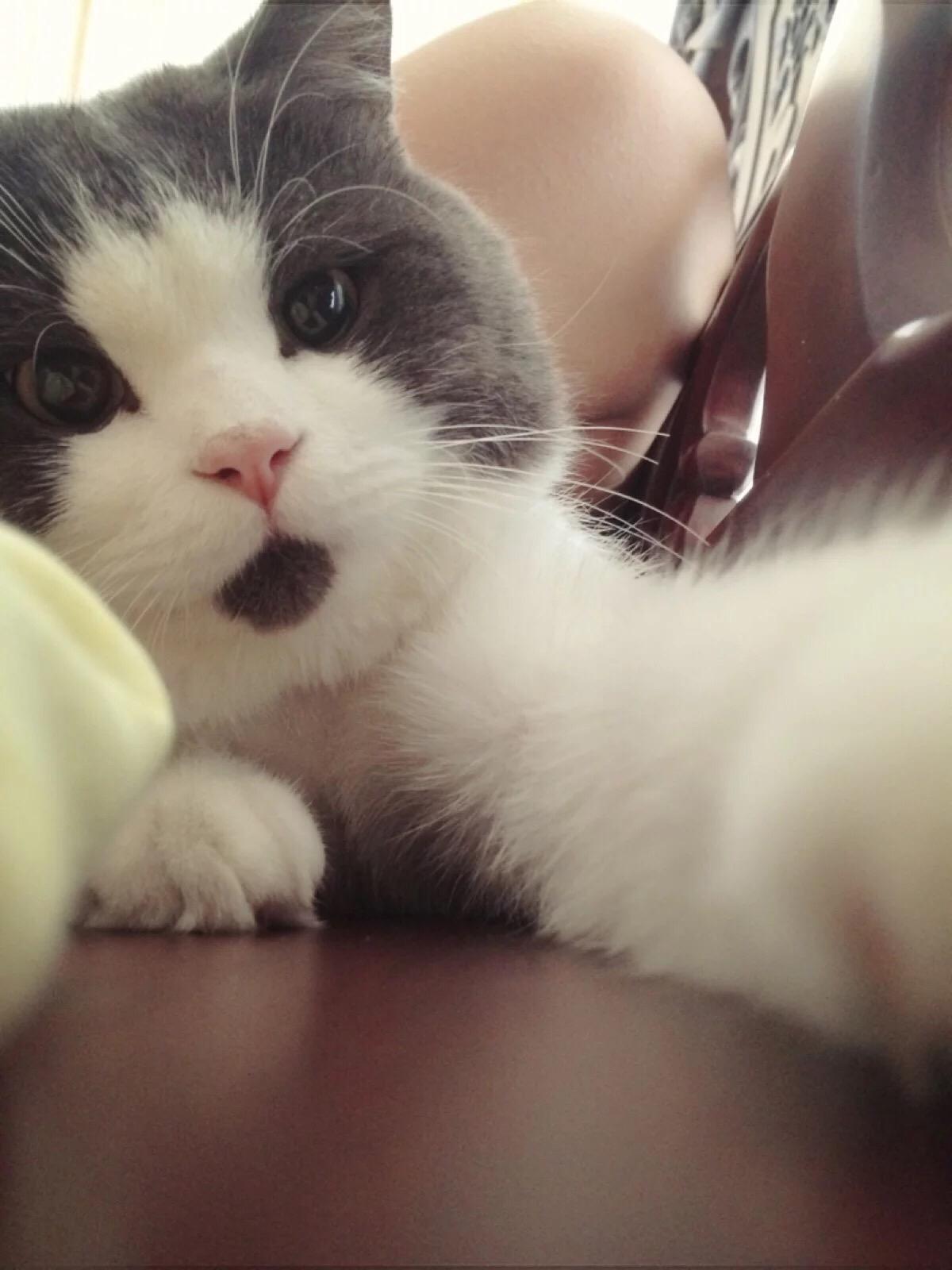 Ů���μ�èʲôԤ�� �ѻ鸾Ů�μ�è����ʲô �μ�è�ǲ���֮����