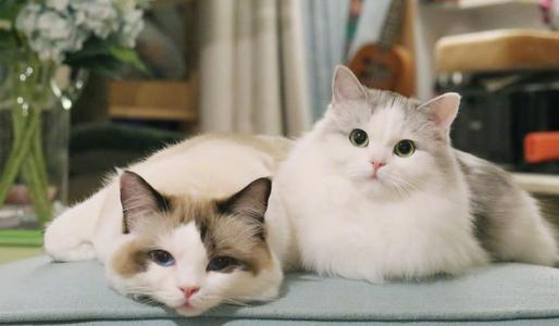 Ů���μ�èʲôԤ�� �ѻ鸾Ů�μ�è����ʲô �μ�è�ǲ���֮����