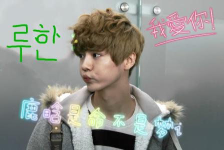 �������¹�������ͼƬ������� ¹����������Ķ����½���