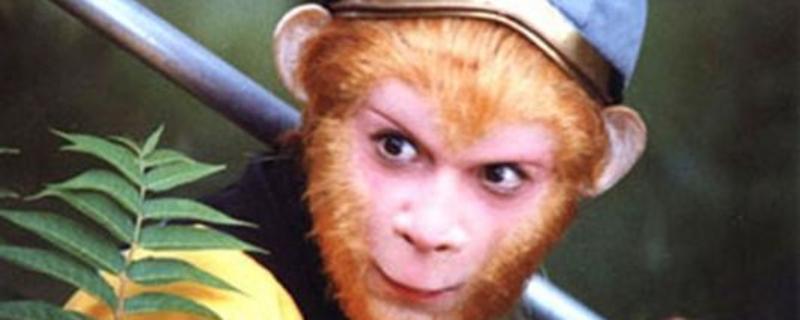 ��С��ͯ������ʲô