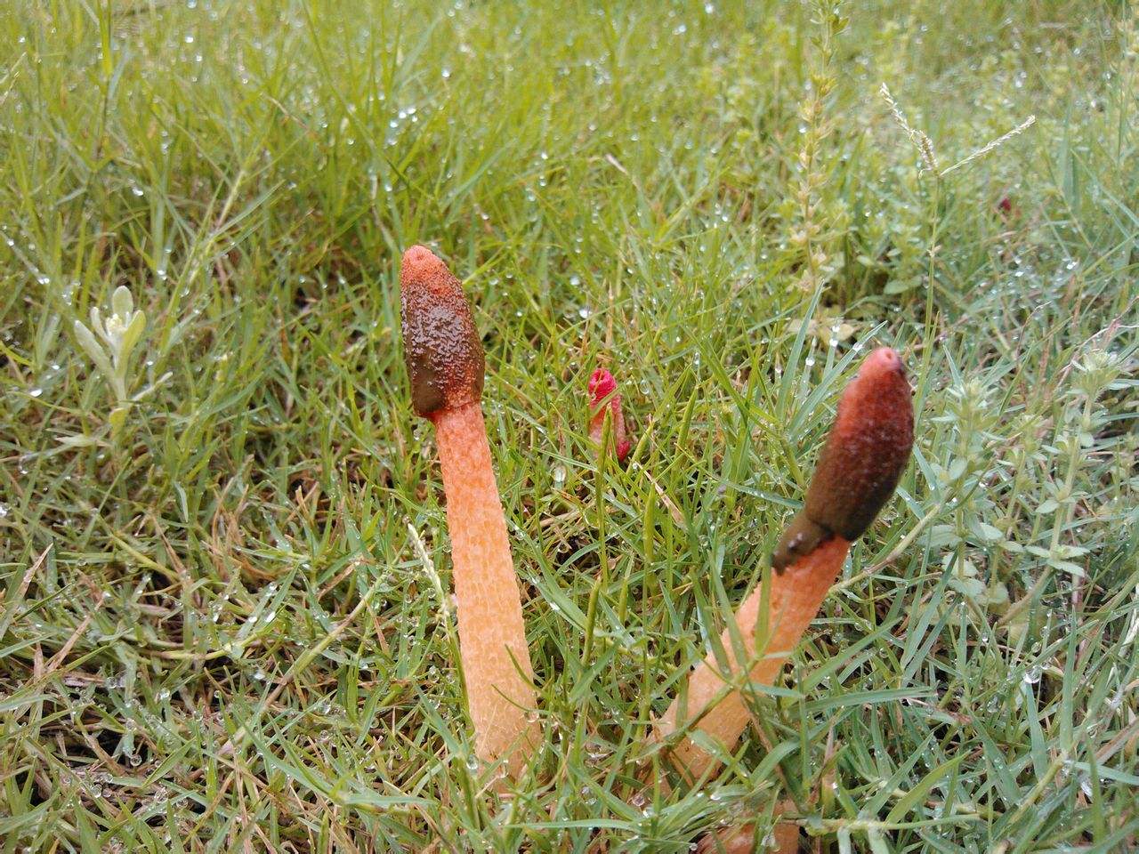 ����ʾ��ı����������������� �������ж�Ϊʲô�ö��������ų�