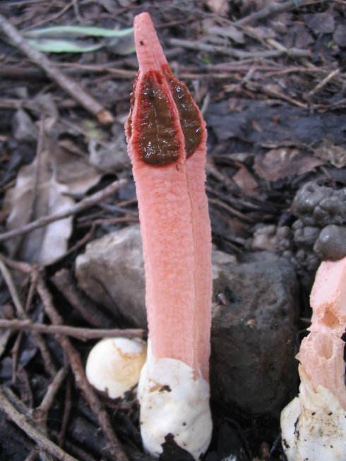 ����ʾ��ı����������������� �������ж�Ϊʲô�ö��������ų�