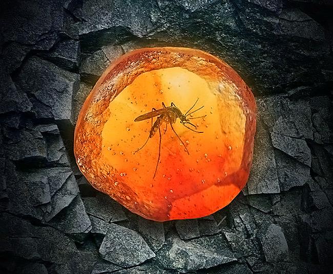 专吸人脑髓的恐怖吸髓蚊印度真的有 据说人被它吸脑髓一点不痛苦