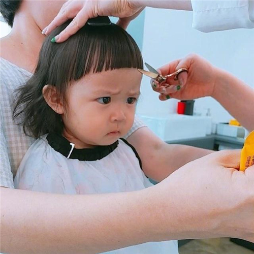 很皮很坑的聊天套路 皮到想打人的聊天套路 高级的耍人整人套路话