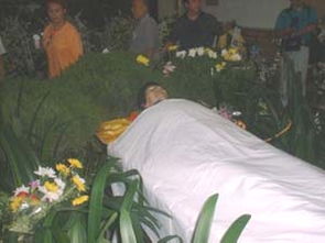 ����������15���� �����س������ֳ���������ͼƬ