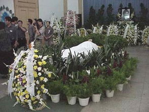 ����������15���� �����س������ֳ���������ͼƬ