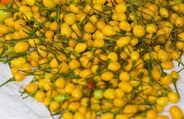 ������������������Ƥ��ɶζ�� һ��11������Ҿ͹�����Щϸ��