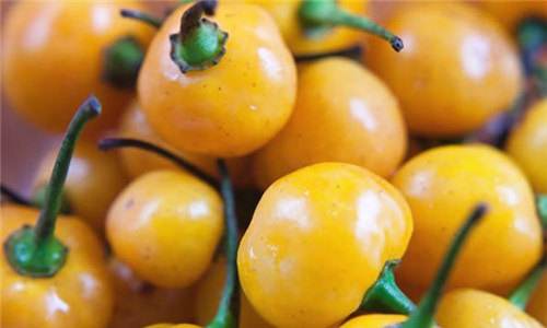 ������������������Ƥ��ɶζ�� һ��11������Ҿ͹�����Щϸ��