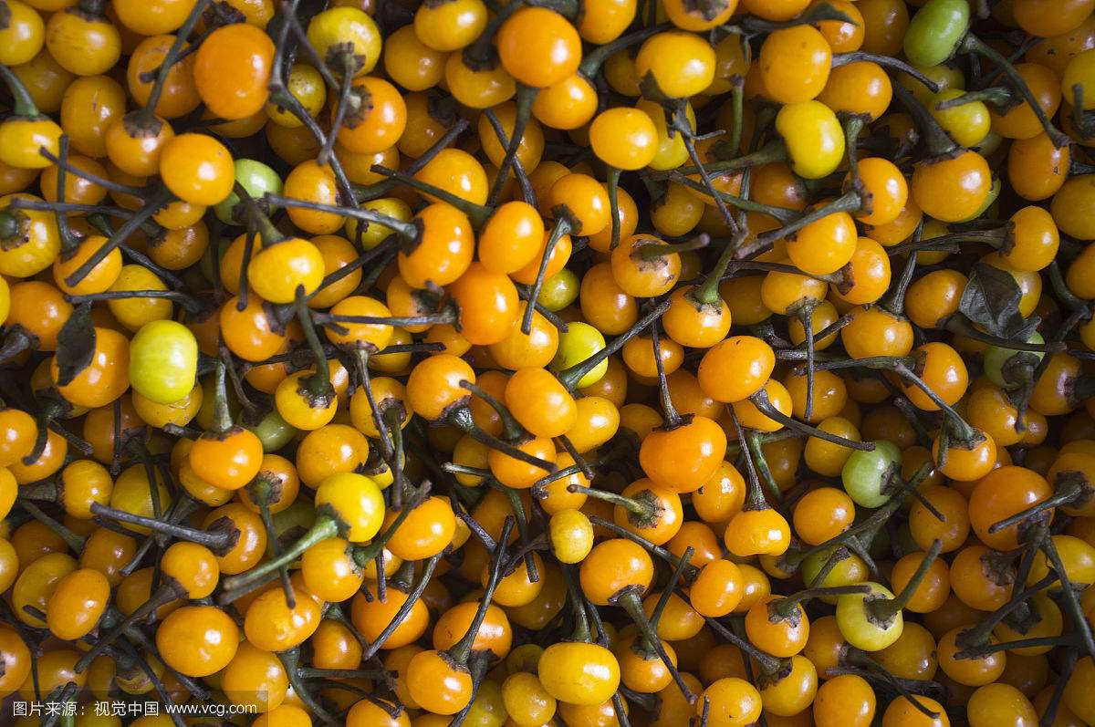 ������������������Ƥ��ɶζ�� һ��11������Ҿ͹�����Щϸ��