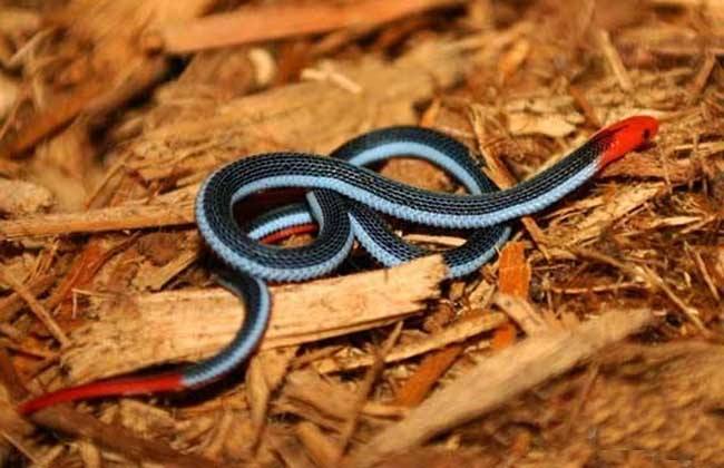 �۾����߾�Ȼ�����Ϊʲô��������ɺ���� ��û������ô���Ķ���