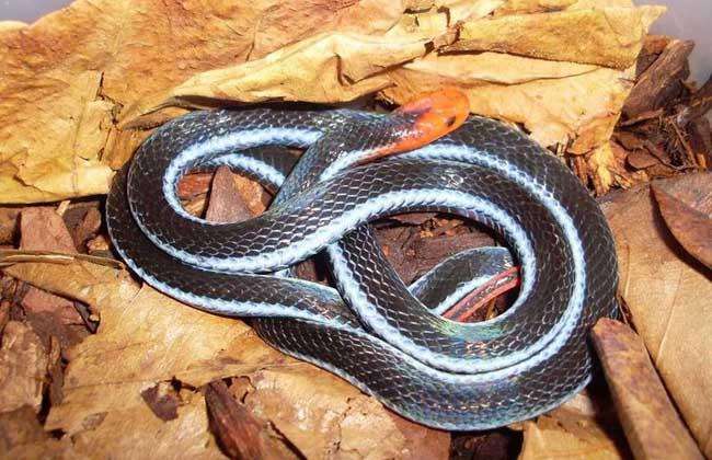 �۾����߾�Ȼ�����Ϊʲô��������ɺ���� ��û������ô���Ķ���