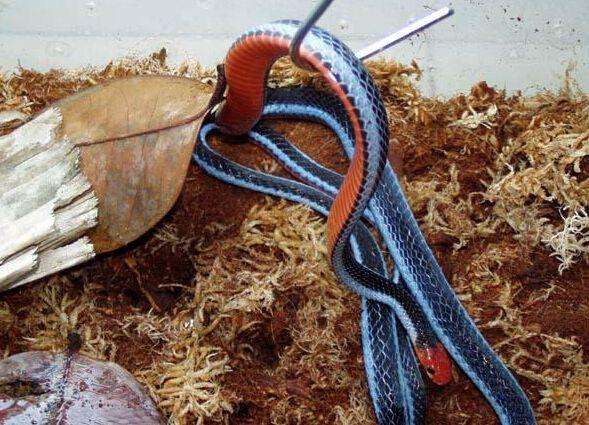 �۾����߾�Ȼ�����Ϊʲô��������ɺ���� ��û������ô���Ķ���