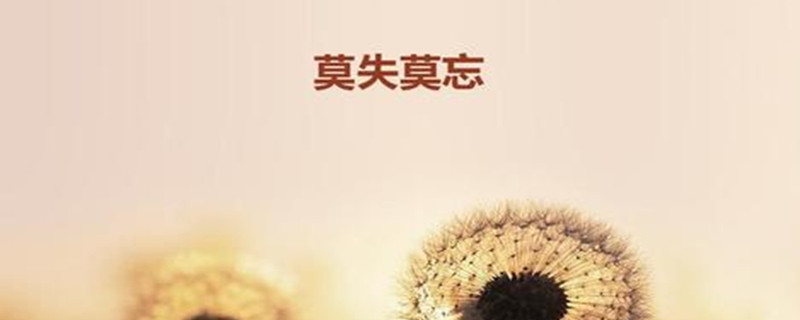 �ɽ�������������������ʲô