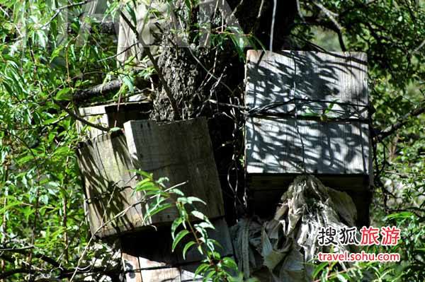 ������ʲô�����Ժ�����Ӱ���� �й�������������ʵͼƬҪ����Ǯ