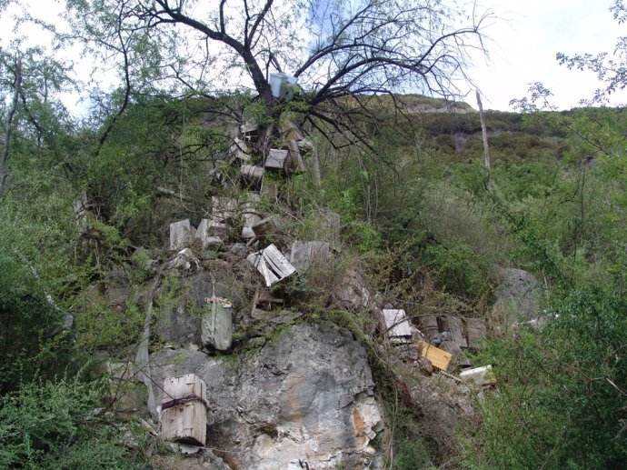 ������ʲô�����Ժ�����Ӱ���� �й�������������ʵͼƬҪ����Ǯ