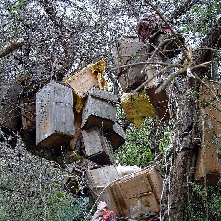 ������ʲô�����Ժ�����Ӱ���� �й�������������ʵͼƬҪ����Ǯ