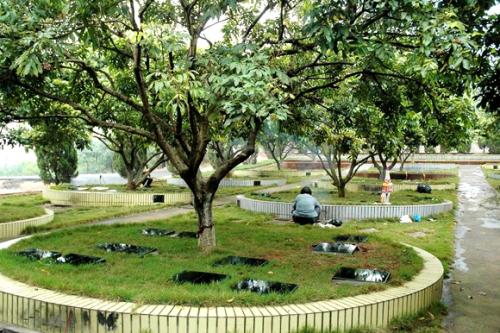 ������ʲô�����Ժ�����Ӱ���� �й�������������ʵͼƬҪ����Ǯ