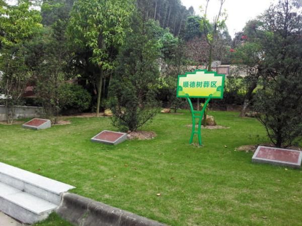 ������ʲô�����Ժ�����Ӱ���� �й�������������ʵͼƬҪ����Ǯ