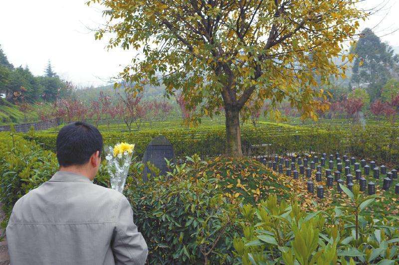 ������ʲô�����Ժ�����Ӱ���� �й�������������ʵͼƬҪ����Ǯ