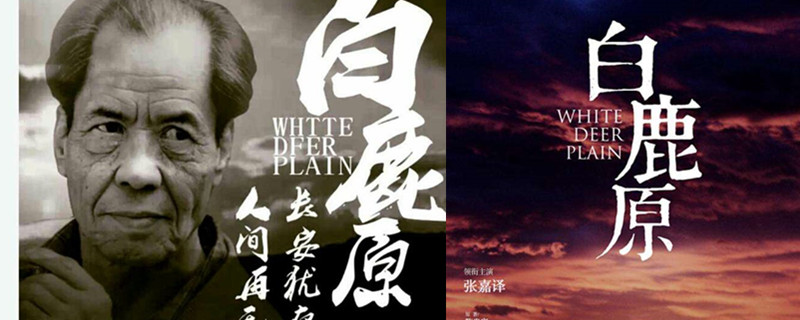 白鹿原作者是谁