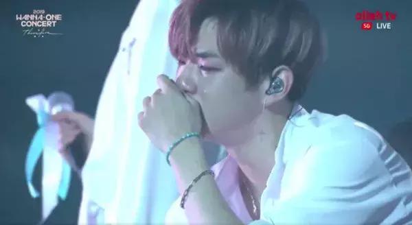 wanna one��ɢԭ�����ʲôʱ���ɢ ��ܽ��ܽ�ɢ��������