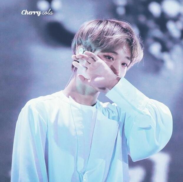 wanna one��ɢԭ�����ʲôʱ���ɢ ��ܽ��ܽ�ɢ��������