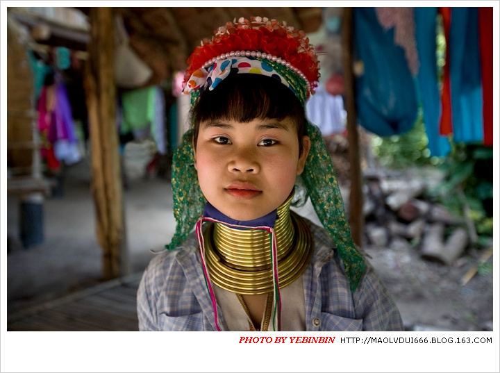 ���粱����ĳ�������ȡ����Ȧ��ֱ�ǡ��ֲ�Ƭ�� ���ӻ����